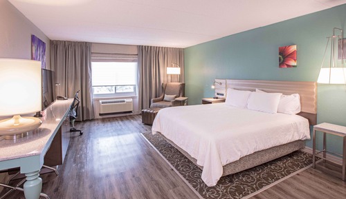 Standard Room, 1 King Bed, Accessible (Accessible Bathtub)