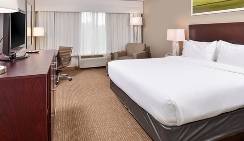 Standard Room, 1 King Bed, Accessible (Mobil, Tub)