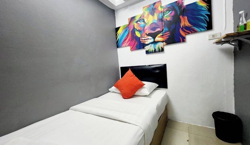 Basic Single Room with Private Bathroom