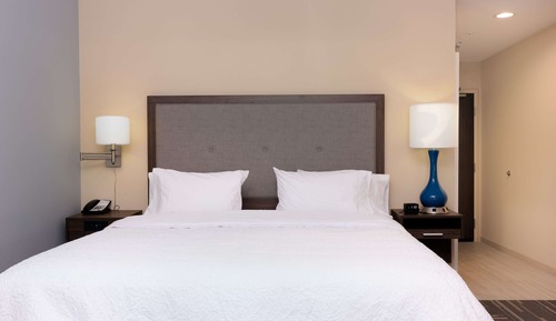 Room, 1 King Bed, Accessible, Bathtub (Mobility & Hearing)