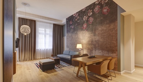 Studio Suite, 1 King Bed with Sofa bed