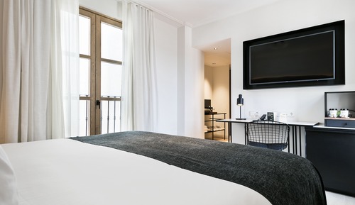 Basic Double or Twin Room (Single Use)