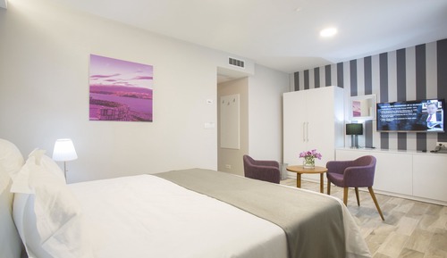 Deluxe Double or Twin Room