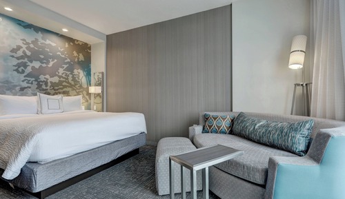 Room, 1 King Bed with Sofa bed