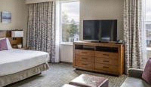Studio, 1 King Bed