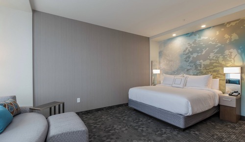 Room, 1 King Bed