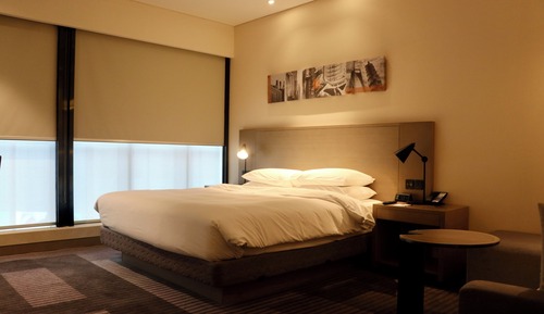 Room, 1 King Bed with Sofa bed, City View