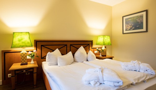 Comfort Room, 1 Queen Bed