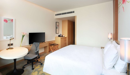 Room, 1 King Bed