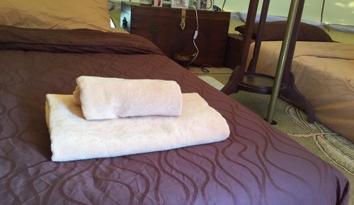 Standard Tent with Shared Bathroom 