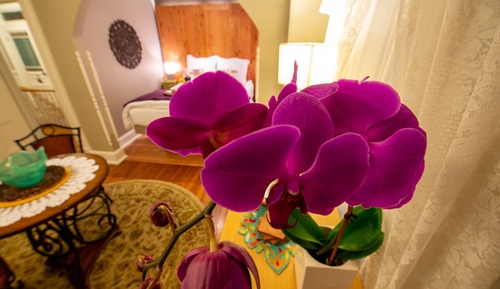 Col. Park Suite