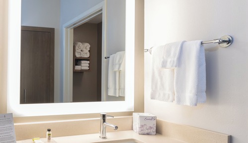 Studio Suite, 1 Queen Bed with Sofa bed