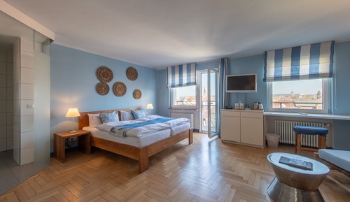Superior Double Room, 1 King Bed with Sofa bed (Plus)