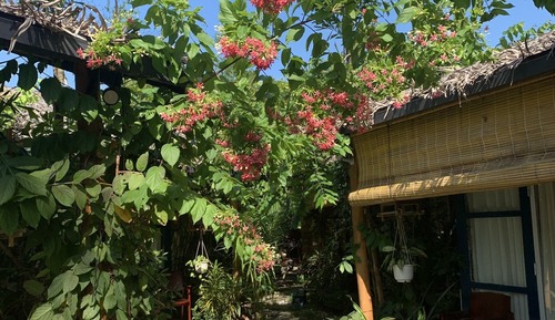 Signature Bungalow, 1 Queen Bed, Non Smoking, Garden View