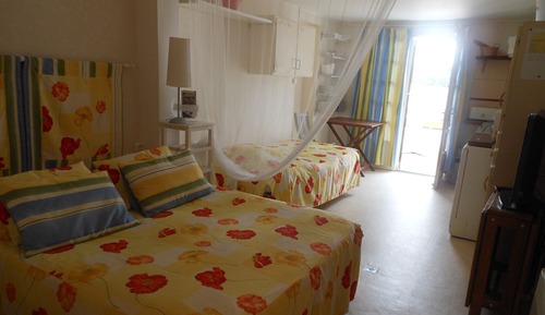 Family Room (Anémone)