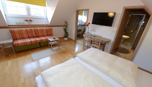 Family Room (Standard)