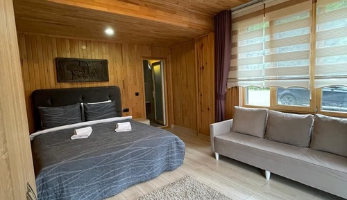 Business Double Room, Non Smoking, Mountain View