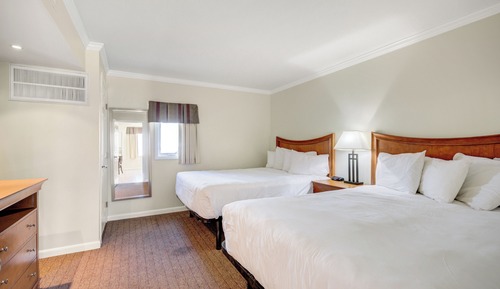 Premium Suite, Multiple Beds