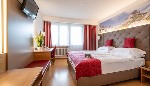 Standard Double Room, 1 Double Bed