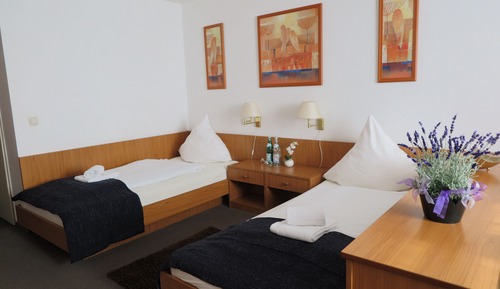Double or Twin Room
