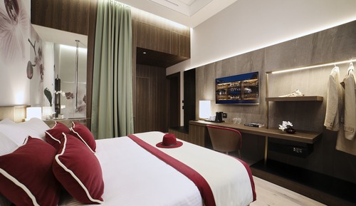 Deluxe Double or Twin Room