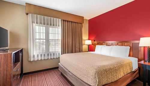 Standard Room, 1 King Bed, Non Smoking, Jetted Tub (with Sofabed)