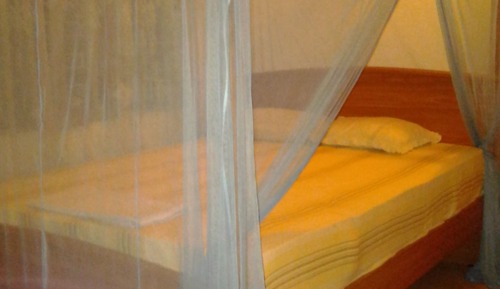 Deluxe Double or Twin Room, Garden View