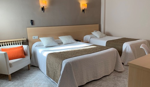Basic Triple Room