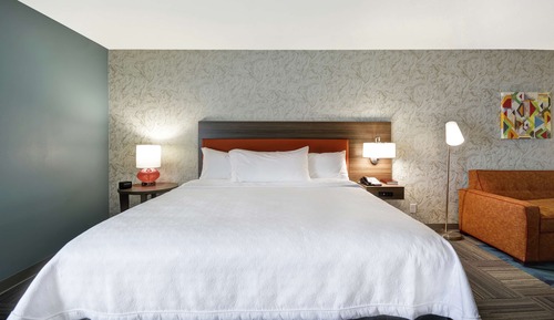 Studio, 1 King Bed, Accessible (Roll-In Shower)