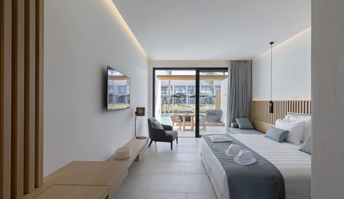 Deluxe Suite (Swim up)