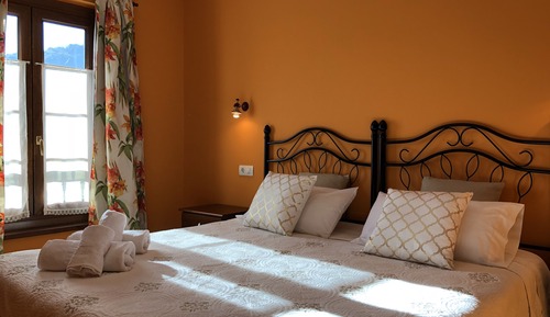 Double or Twin Room, Accessible