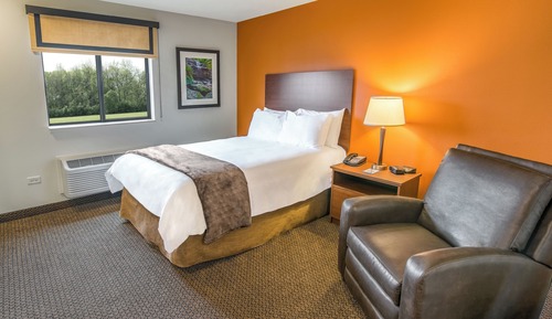 Room, 1 Queen Bed (Roll In Shower)