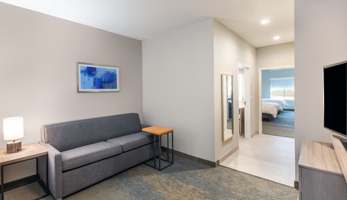 Standard Room, 1 King Bed, Roll-in Shower, Non Smoking (Communications, Roll-In Shower)