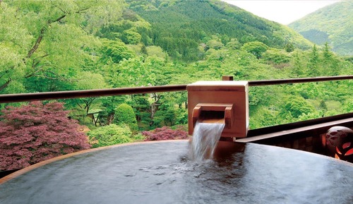 Japanese Style Twin Room with Hot Spring Bath, Non Smoking - 316