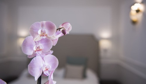 Deluxe Double Room, Balcony