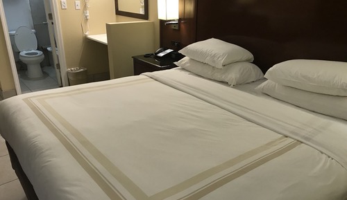 Standard Single Room, 1 King Bed