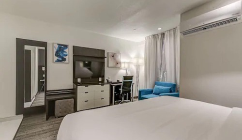 Suite, 1 King Bed with Sofa bed