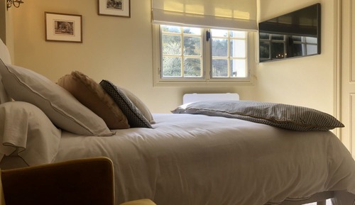 Deluxe Double or Twin Room (Dumas)