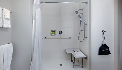 Room, 1 King Bed, Accessible (Roll-In Shower)