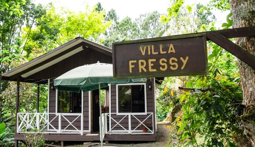 Family Cabin