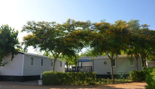 Mobile Home Premium 3 AC