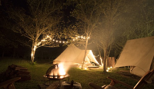 Standard Tent
