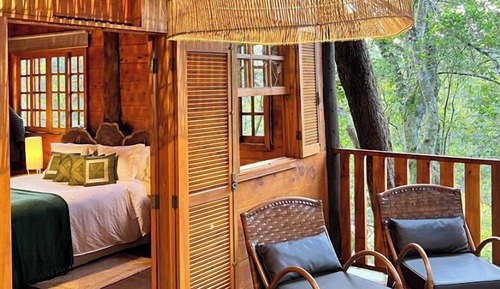 Tree House