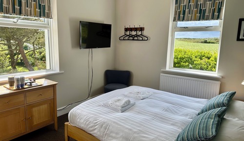 Economy Double Room