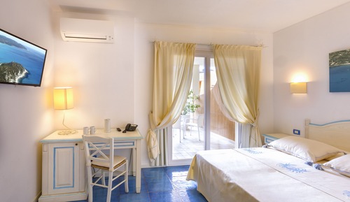 Superior Deluxe Double or Twin Room