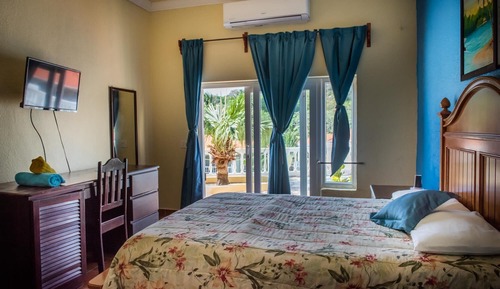 Standard Room + FREE Snorkel Trip