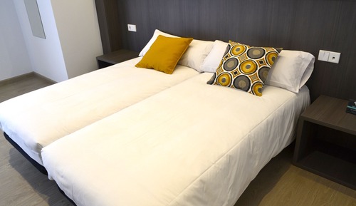 Economy Twin Room