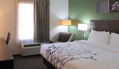 Room, 1 King Bed, Accessible, Non Smoking