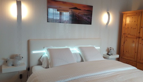 Double Room, 1 King Bed