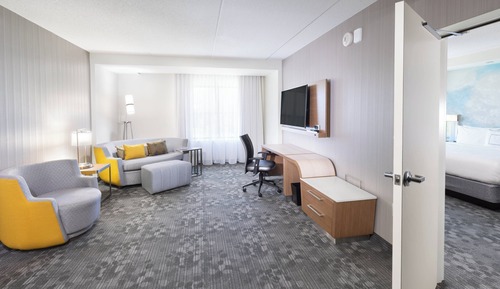 Suite, 1 King Bed with Sofa bed